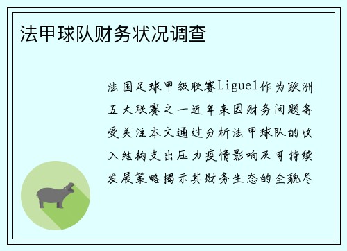 法甲球队财务状况调查