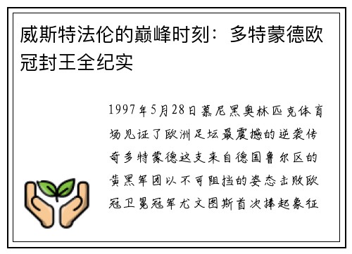 威斯特法伦的巅峰时刻：多特蒙德欧冠封王全纪实