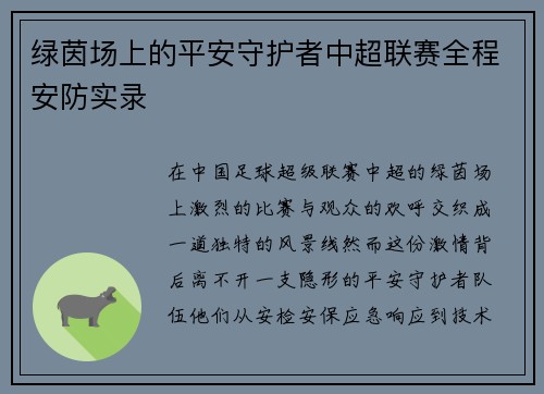 绿茵场上的平安守护者中超联赛全程安防实录