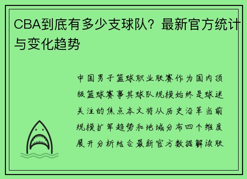 CBA到底有多少支球队？最新官方统计与变化趋势