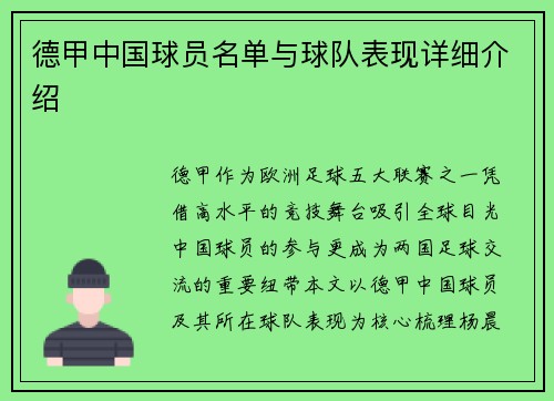 德甲中国球员名单与球队表现详细介绍